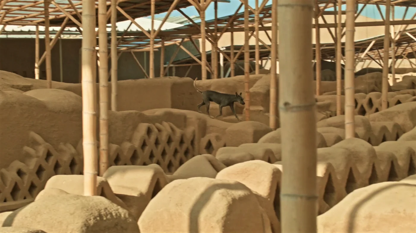 Archaeological ruins on Peru’s northern coast